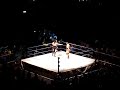 Undertaker Batista Alliance