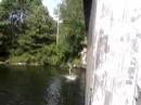 All of us on the Battenkill