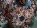 Fractal Tao Fractal Tao
