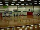 weidevogels A1 in halve finale