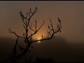 Dusk You & Me