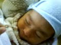 molestando al ballenato (josue)