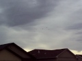 Apache's over Twin Falls, Idaho