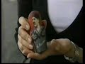rise-axis-of-evil-russian-dolls.html