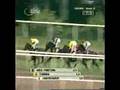NEW GRAFIA - Österreichische 1.000 Guineas, L.R.