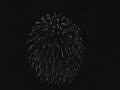 Fuegos Artificiales A�o Nuevo 2007 - Vi�a del Mar