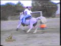 gara di barrel racing