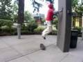 videos de Standing palmflip on skateboard (progress clips)