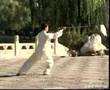 Taiji épée 18 mouvements