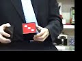 Electronic Psychic Die Electronic Psychic Die