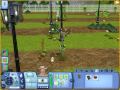 How to get the money tree part 3 of 4 (Sims 3)