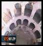 govou dans fort boyard