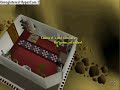 finaly here!! plz comment and subscribe. hope u like it, and i hope the noob than got killed by a dark wizard lvl 20 got hes stuff back :S