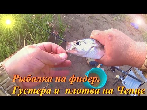 ловля на фидер в июле видео ловля на фидер в июле видео