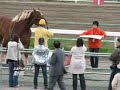??????????? (Announcement of decision horse name) ??????????? (Announcement of decision horse name)