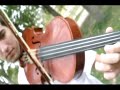 ZELDA trinuts pivess