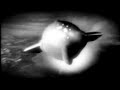 Duster Video / Echo, Bravo