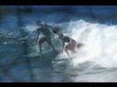 videos Surf