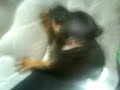 Maynerd! :#