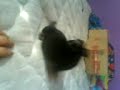 Maynerd! :#