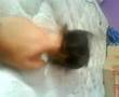 Maynerd! :#
