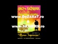EKO&SKINERR feat. Alexandra& - Mereu impreuna [ 2010 - Full HD 1080p ]