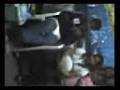 videos de bebe hiugi