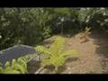 videos de Browns Bay