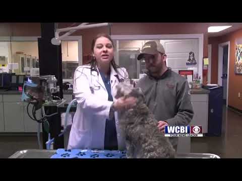 Animal Health 03/21/19 - Treating Rat Bait Poisoning in Your Pets