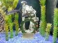 2 Décor/maquette porte des étoiles (Stargate)pour aquarium