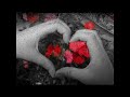 ايسر القاسم القاسم الكمر 2011
