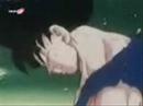 Dragon Ball Z cala