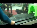Kiwi rocking the treadmill