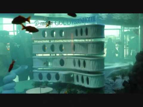 0 Hotel para peces en Schiphol