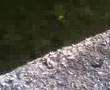 Handamade Spinnerbaits