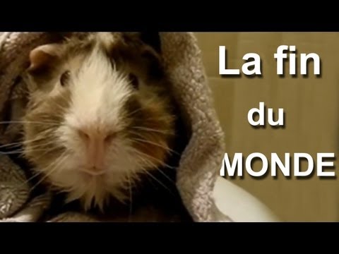 Image de prévisualisation YouTube