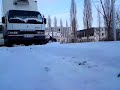 büffel.MP4