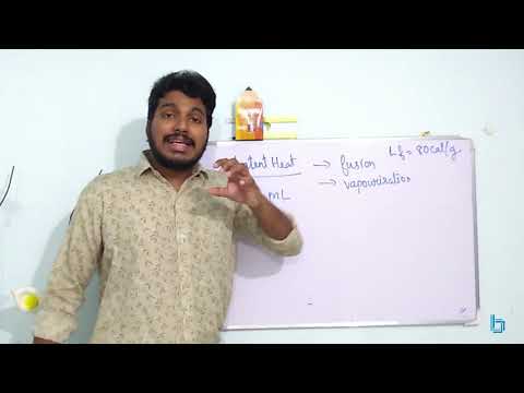 Thermal properties of matter l Calorimetry l Heat Transfer