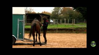 Apprentissage de la mise dans le van