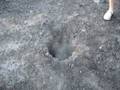 Smolder Hole #2 - Sesnon Fire Hot Spot