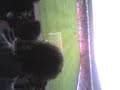 Darlo Away