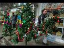 Vortis - Christmas in Kabul