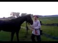 Podlaskie wie?niaki-kolacja i skok