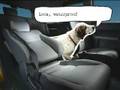 Honda Element Pointer Ad :30 Dog