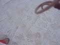 tina neve.avi