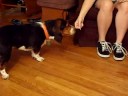 Korbin Learns About Fire