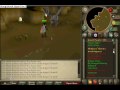 owning iron dragons