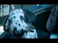 videos de McDONALD'S - THE DOG BROTHERS