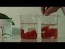 LIPIN Green&Nature Cleaning Test