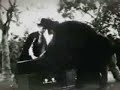 Ghastly ones - Haulin\